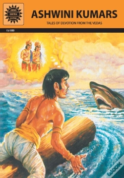 Capa do artigo Ashwini Kumars