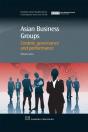 Asian Business Groups - Preview