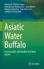 Asiatic Water Buffalo - Preview