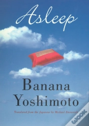 Capa do artigo Asleep
