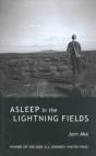 Asleep In The Lightning Fields - Preview