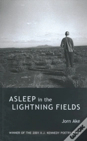 Capa do artigo Asleep In The Lightning Fields