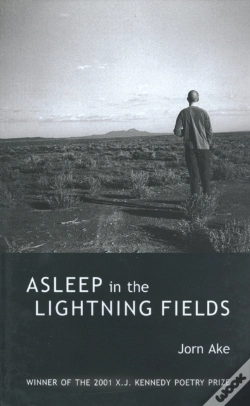 Capa do artigo Asleep In The Lightning Fields