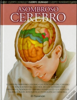 Capa do artigo Asombroso Cerebro