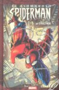 Capa do artigo Asombroso Spiderman 6