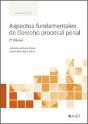 Aspectos Fundamentales De Derecho Procesal Penal - Preview