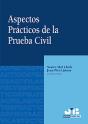 Aspectos Prácticos De La Prueba Civil. - Preview