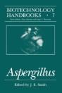 Aspergillus - Preview