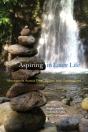 Aspiring In Later Life - Preview