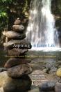 Aspiring In Later Life - Preview