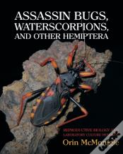 Assassin Bugs, Waterscorpions, And Other Hemiptera