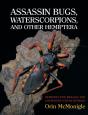Assassin Bugs, Waterscorpions, And Other Hemiptera - Preview