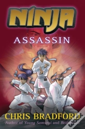 Capa do artigo Assassin