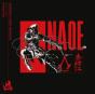 Assassin's Creed Shadows - Kage No Iro - Vinil - Preview