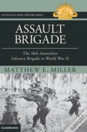 Capa do artigo Assault Brigade