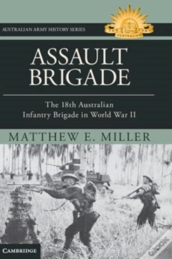 Capa do artigo Assault Brigade