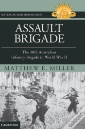 Capa do artigo Assault Brigade