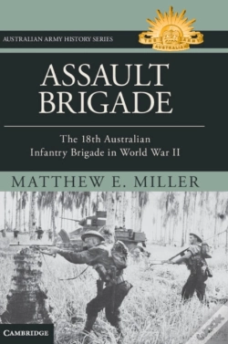 Capa do artigo Assault Brigade