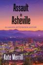 Assault In Asheville - Preview