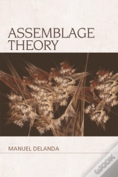 Assemblage Theory