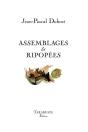 Assemblages & Ripopees - Jean-Pascal Dubost - Preview