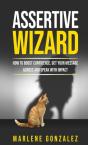 Assertive Wizard - Preview