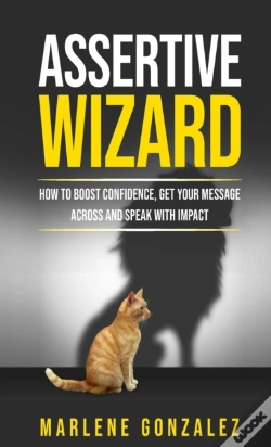 Capa do artigo Assertive Wizard