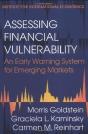 Assessing Financial Vulnerability - Preview