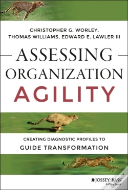 Capa do artigo Assessing Organization Agility