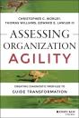 Assessing Organization Agility - Preview