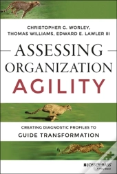 Assessing Organization Agility