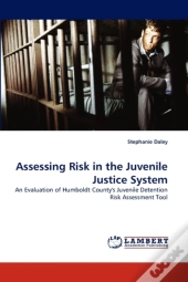 Assessing Risk In The Juvenile Justice S