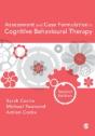 Assessment And Case Formulation In Cognitive Behavioural Therapy - Preview