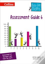 Assessment Guide 6