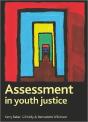 Assessment In Youth Justice - Preview