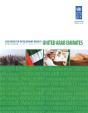 Assessment Of Development Results - Preview