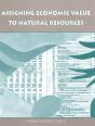 Assigning Economic Value To Natural Resources - Preview