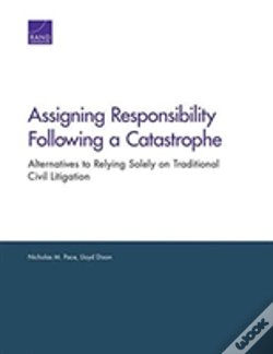 Capa do artigo Assigning Responsibility Following A Catastrophe