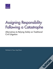 Capa do artigo Assigning Responsibility Following A Catastrophe