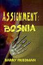 Assignment - Preview