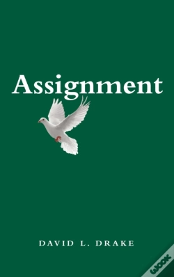 Capa do artigo Assignment