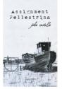 Assignment Pellestrina - Preview