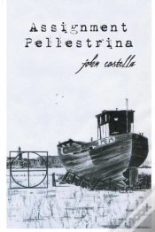 Capa do artigo Assignment Pellestrina