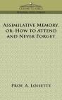 Assimilative Memory, Or How To Attend And Never Forget - Preview