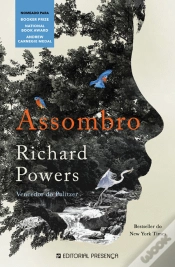Capa do artigo Assombro