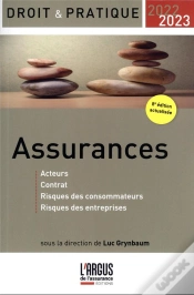 Capa do artigo Assurances : Acteurs, Contrat, Risques Des Consommateurs, Risques Des... (Édition 2022/2023)