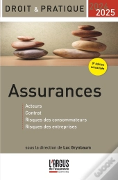 Assurances : Acteurs, Contrat, Risques Des Consommateurs, Risques Des Entreprises (Édition 2024/2025)