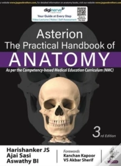 Capa do artigo Asterion