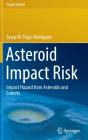 Asteroid Impact Risk - Preview