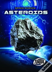 Capa do artigo Asteroids